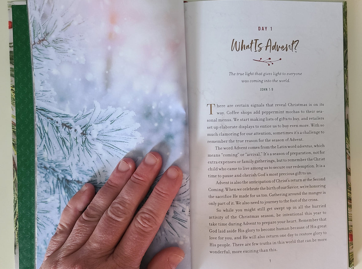 The Advent Project.pdf The Advent Project: A Challenge to Journal, Reflect, and Celebrate Chr ...