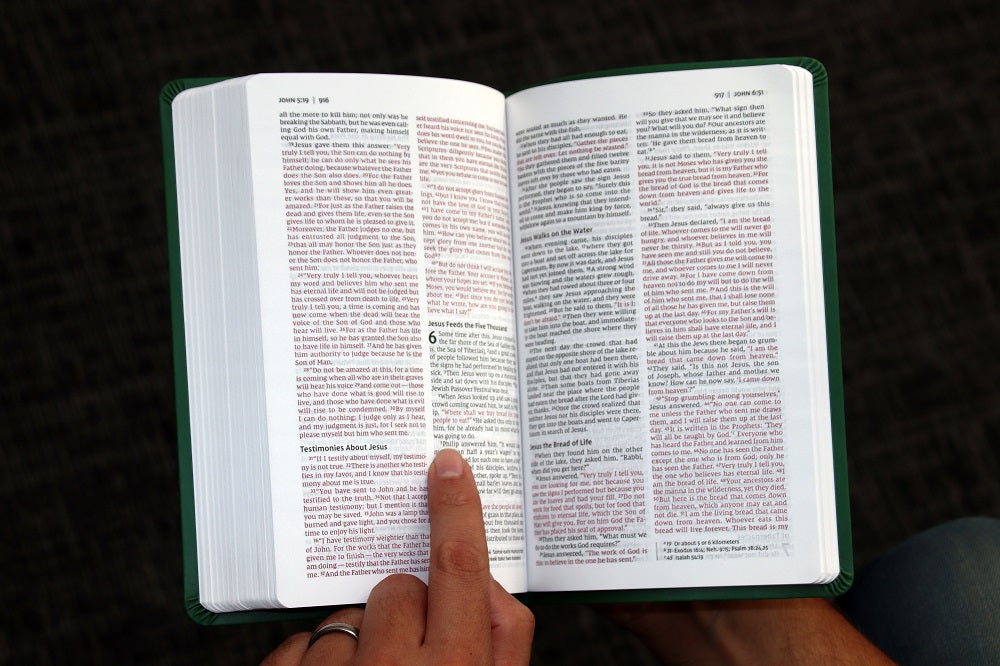 NIV, Thinline Bible, Bible Builder Edition, Red Letter, Comfort Print