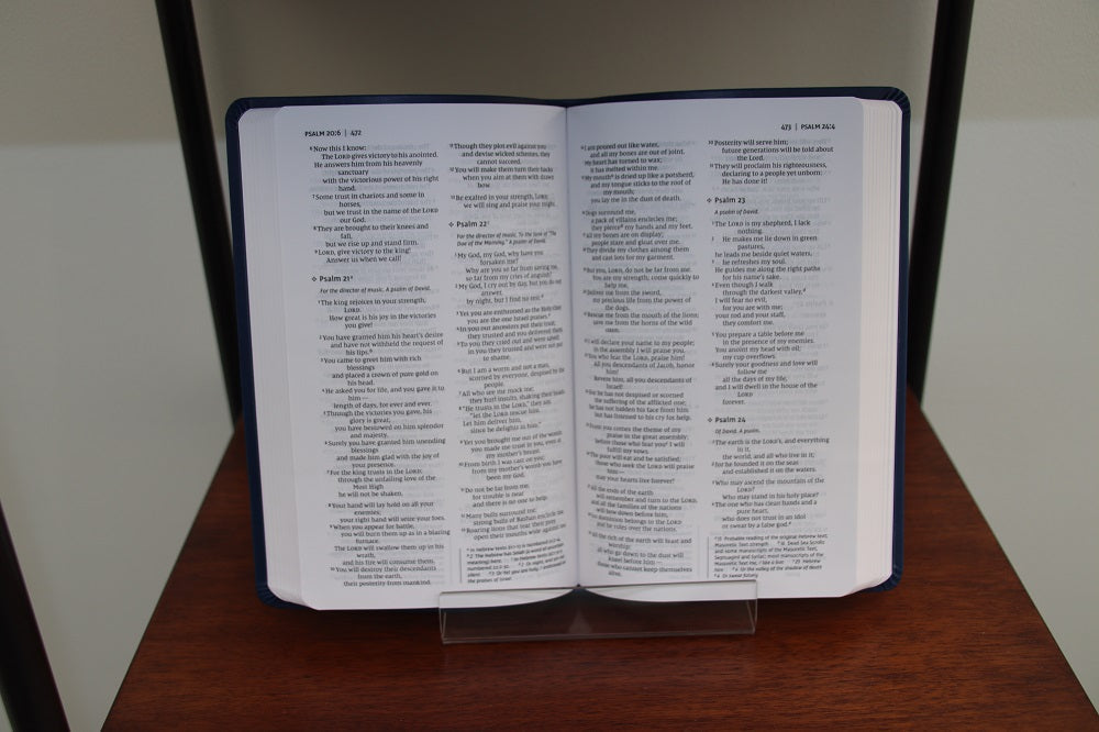 NIV, Thinline Bible, Bible Builder Edition, Red Letter, Comfort Print