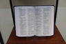 NIV, Thinline Bible, Bible Builder Edition, Red Letter, Comfort Print