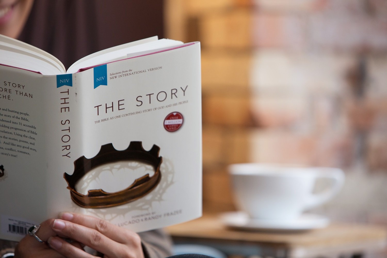 NIV, The Story: The Bible as One Continuing Story of God and His